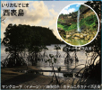 西表島（いりおもてじま）