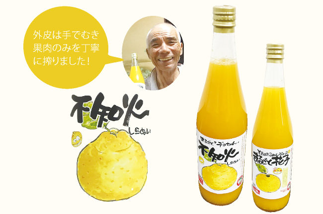 まるごと「デコちゃん」 不知火(しらぬい)