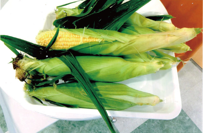 トウモロコシ『嶽きみ』